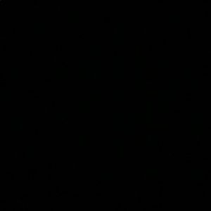 Meet your Posher, Irene